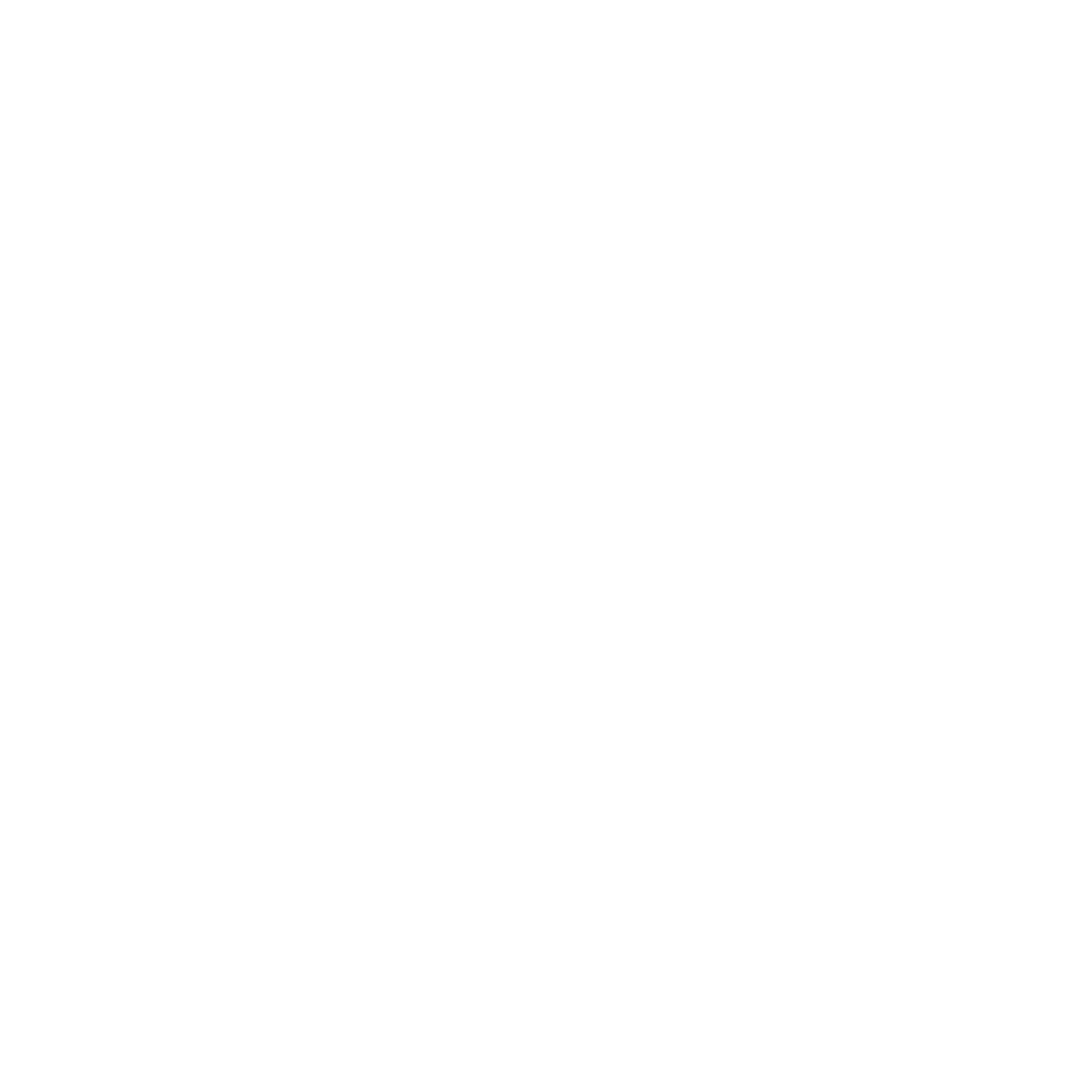 TikTok Logo
